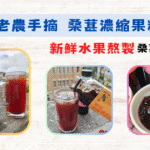 受保護的內容: 《宅配美食》村子口老農手摘 桑葚濃縮果粒汁 │ 新鮮水果熬製│ 村子口桑葚汁 │ 新鮮水果熬製 │ 村子口金桔桑葚汁│桑葚汁推薦