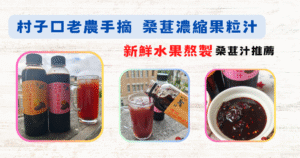Read more about the article 《宅配美食》村子口老農手摘 桑葚濃縮果粒汁 │ 新鮮水果熬製│ 村子口桑葚汁 │ 新鮮水果熬製 │ 村子口金桔桑葚汁│桑葚汁推薦